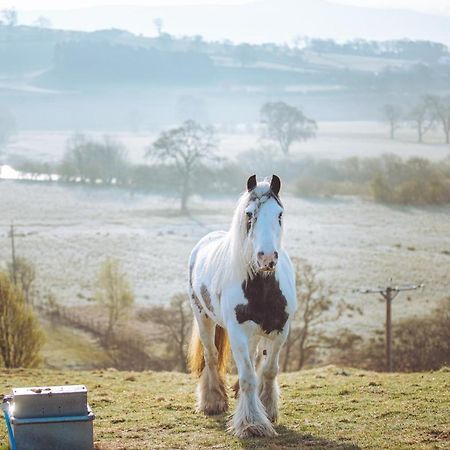 Shabby Shepherds Penrith Esterno foto