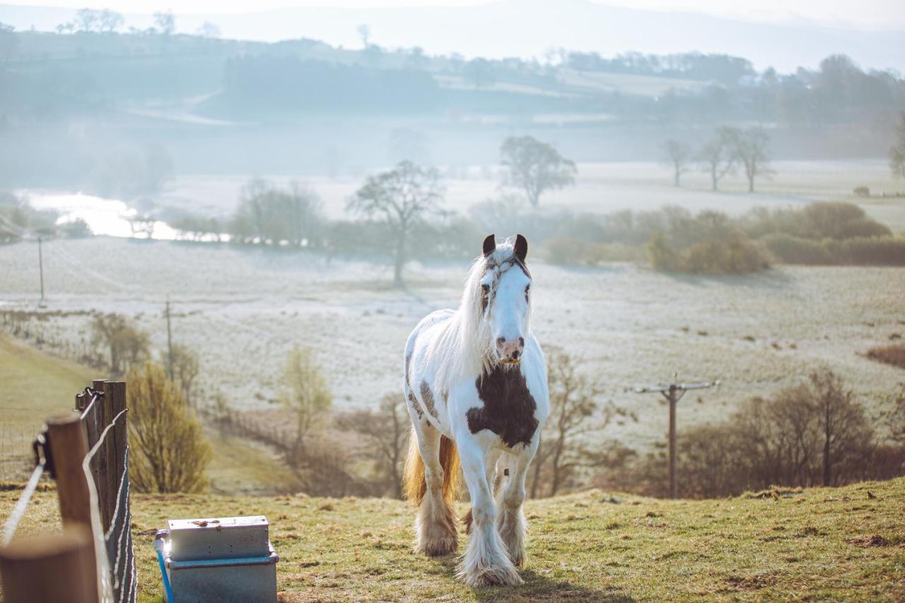Shabby Shepherds Penrith Esterno foto