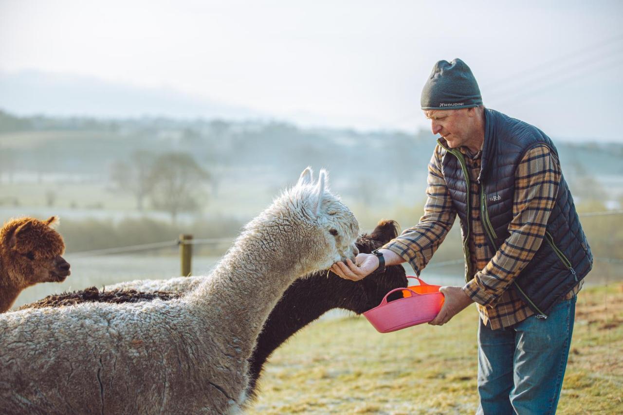 Shabby Shepherds Penrith Esterno foto